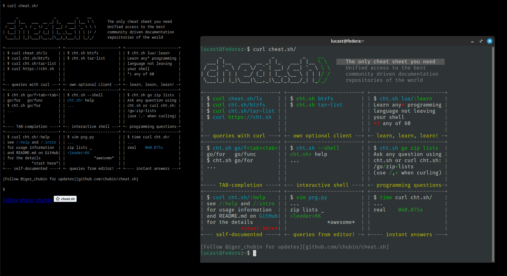 Site Cheat.sh sendo comparado com o terminal